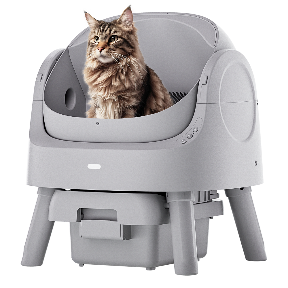 Autoscooper 11 Open-top Self-cleaning Smart Cat Litter Box